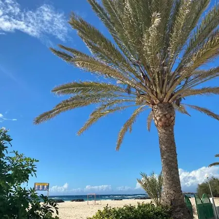 Corralitos En El Mar *